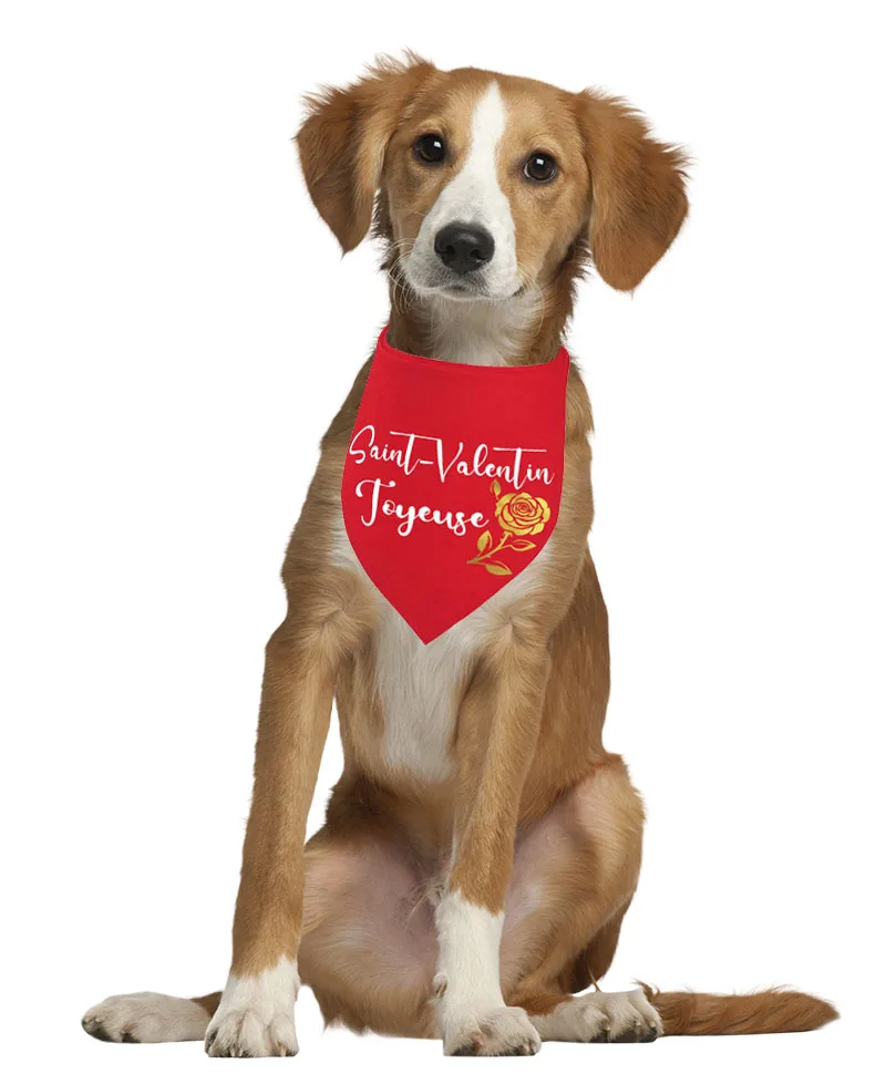 Title 3, Valentines Day Dog Bandana Love Heart Pet Scar...