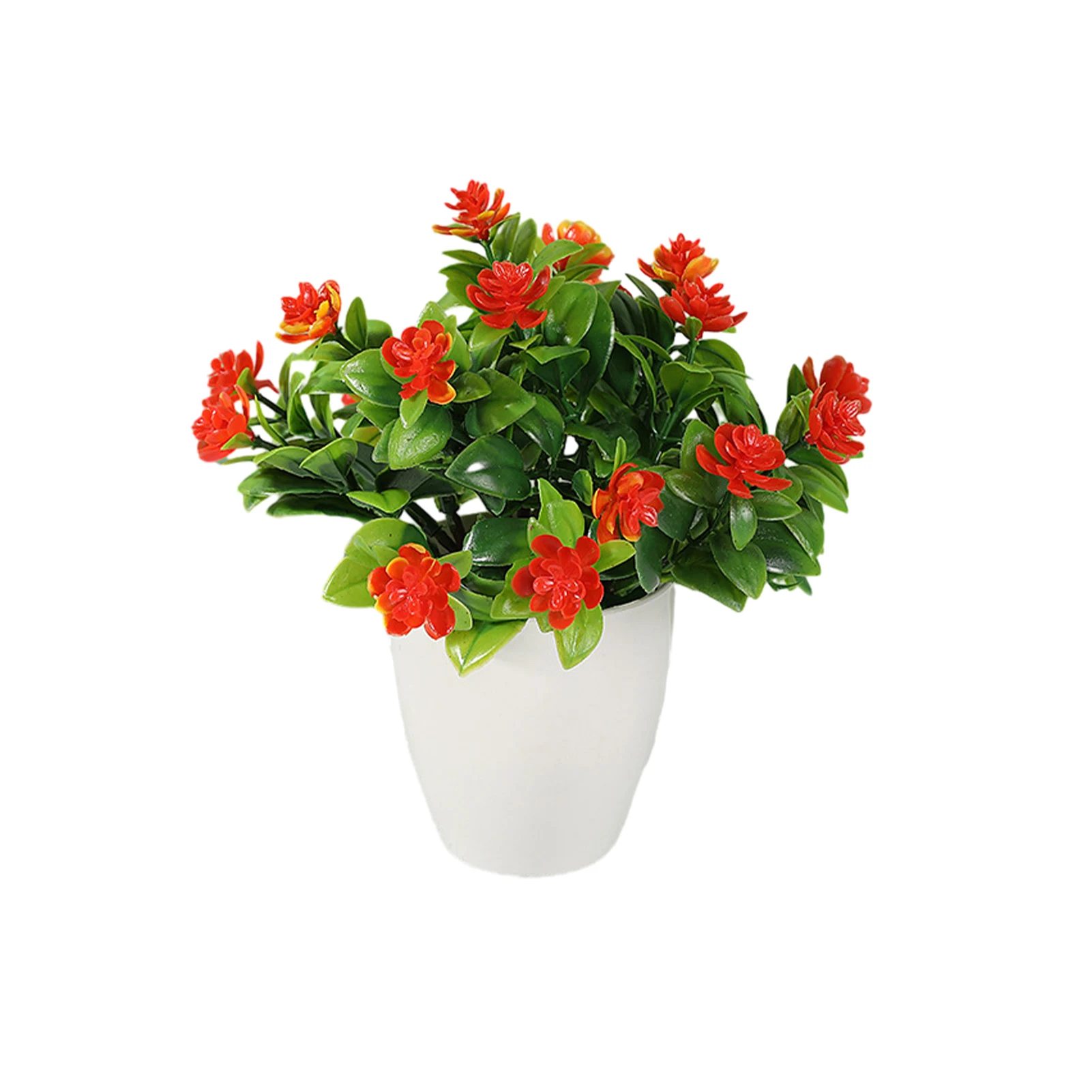 orange-5