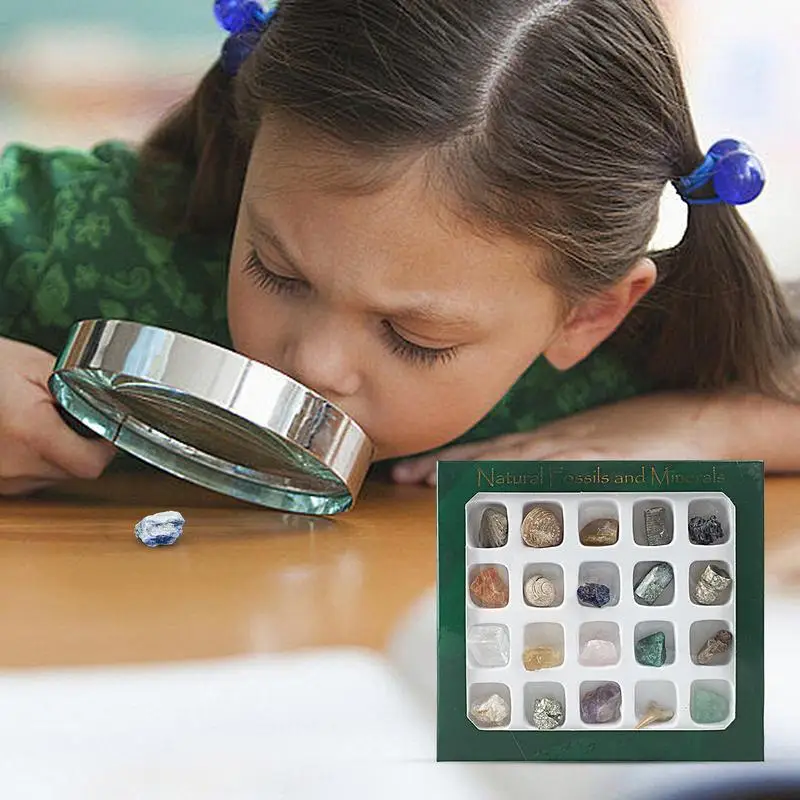 Rock Collection Box For Kids Natural Gemstone Crystal Sets Mineral Science  Kit Geology Rock Specimen For Young Geologists Geolog - AliExpress