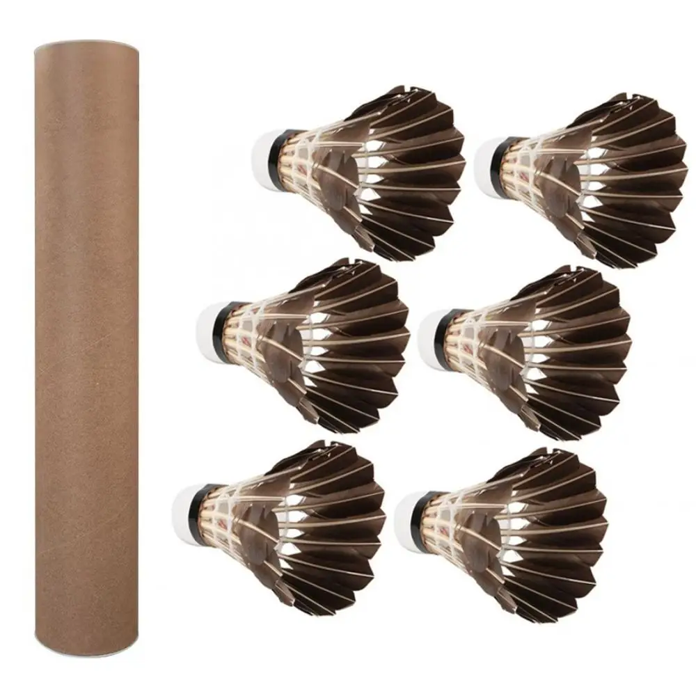 6Pcs