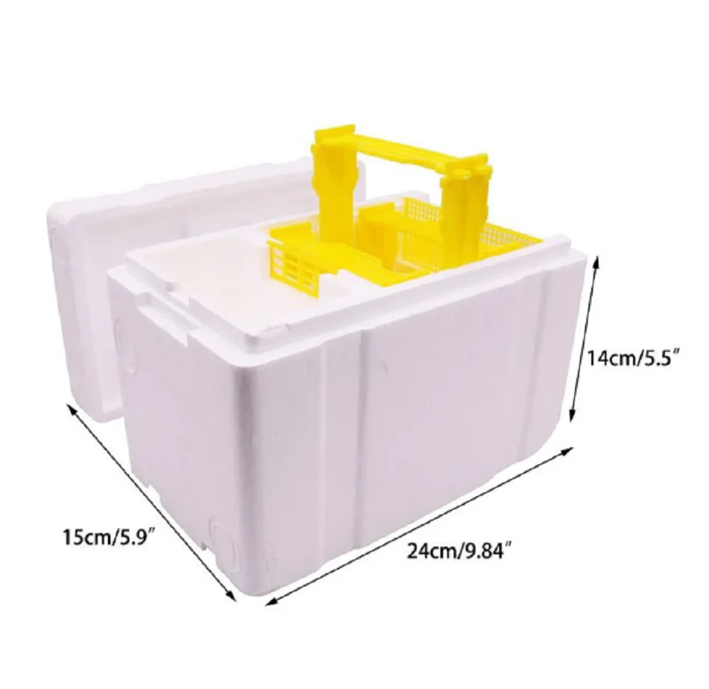 Queen bee rearing mating beehive beekeeping tool foam pollination box bee breeding foam box beekeeping equipment