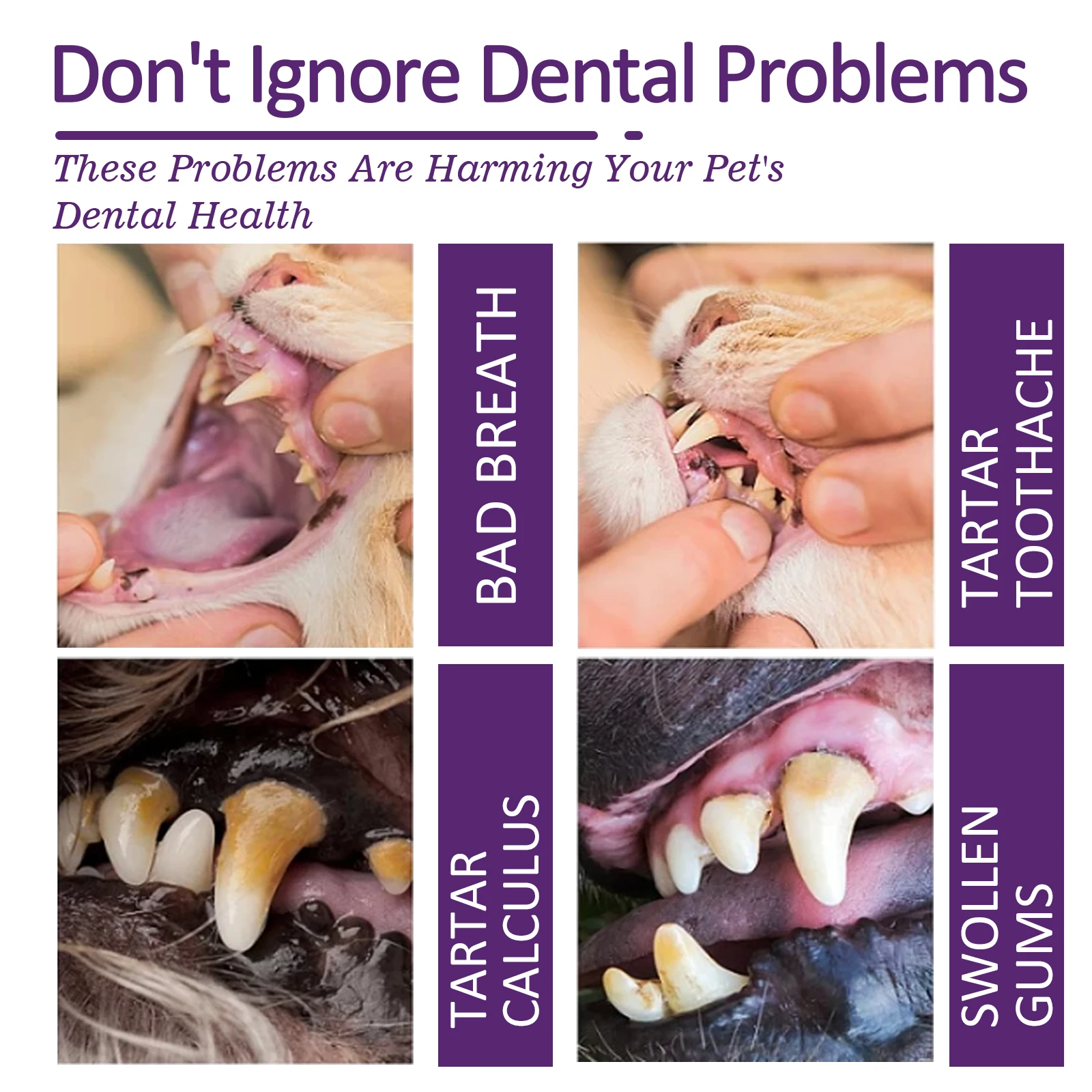 YEGBONG Pet Toothpaste 50g, Anti-gingivitis Enzyme Toothpaste Reduces Plaque And Tartar Buildup And Is Safe For Puppies
