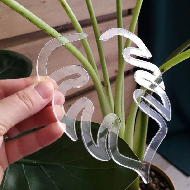 Turtle Shell Bamboo Clamp Set Monstera Grapple Plant Monstera Plant Support Keeps Plants Tame Growing Vertical