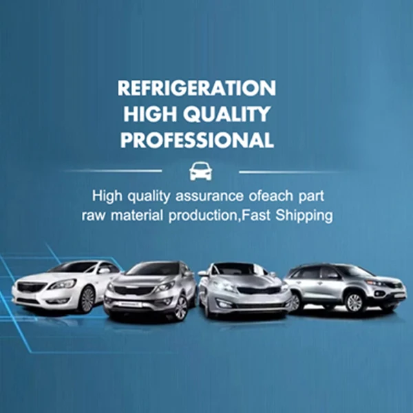 Yipion CAR AC System Store