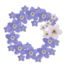 

12pcs Artificial Forget-me-not Simulation Pressed Dried Flowers Embellishments Art DIY Craft Jewelry Card Making Phone Painting