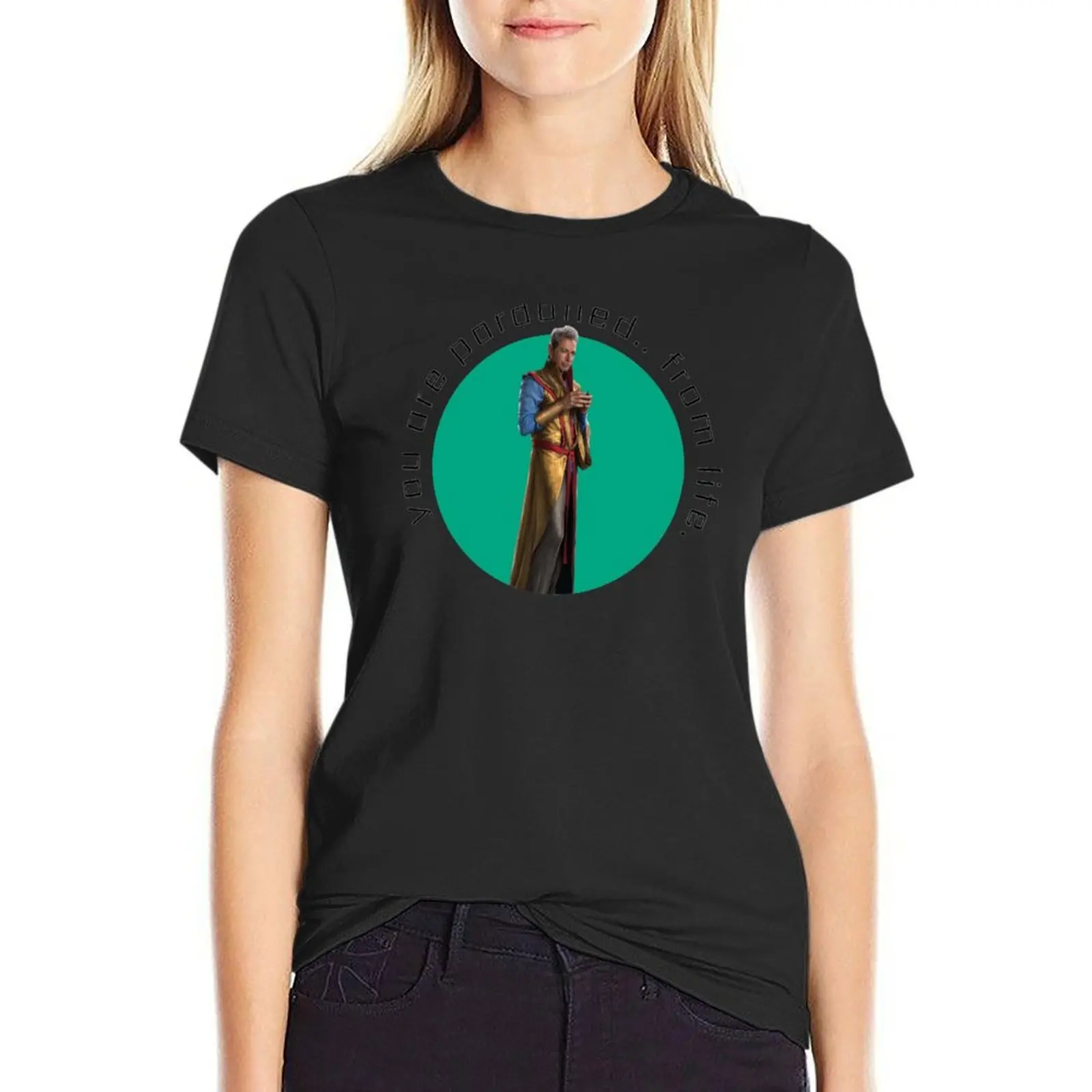 

the grandmaster T-Shirt shirts graphic tees hippie clothes korean fashion aesthetic clothes ariat shirts for Women