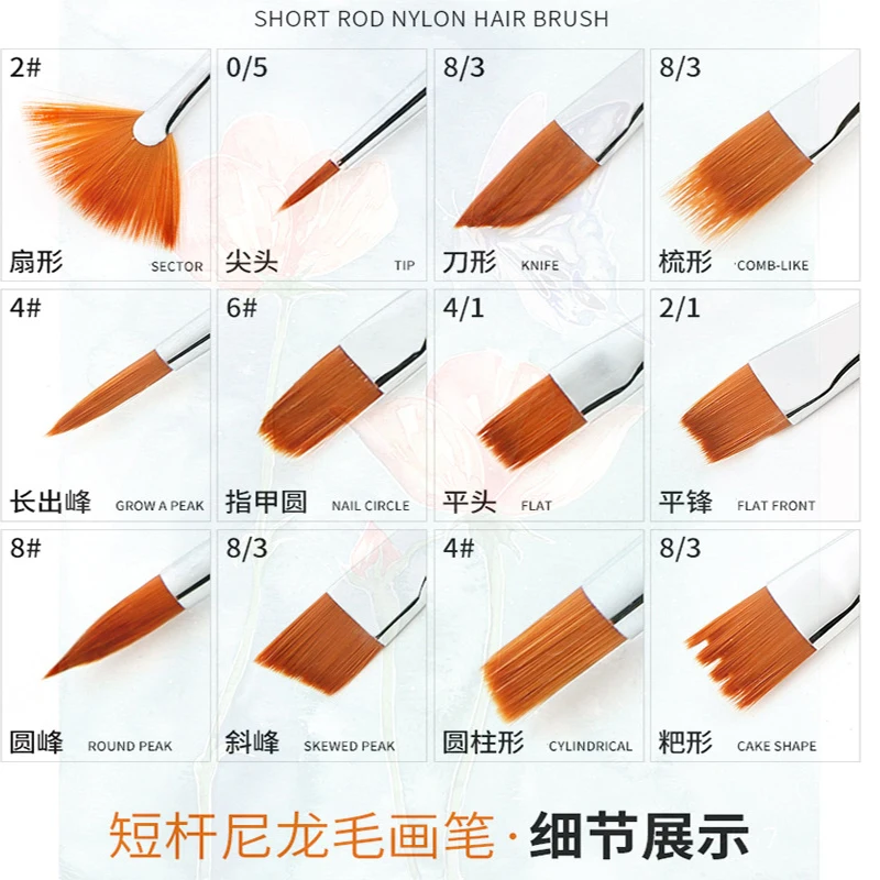 12 ���� ������ Ư�� ����� �귯�� ���Ϸ� ��� ���ƽ� ��ȭ ��ũ�� ��äȭ �귯�� ����Ʈ Ư�� ��� ���� ũ��