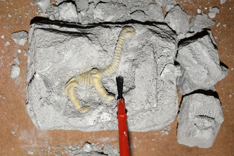 1PCS Dinosaur Fossils Simulation Tyrannosaurus Science Jurassic World Park DIY Archaeological Excavation Game Toys For Children 5