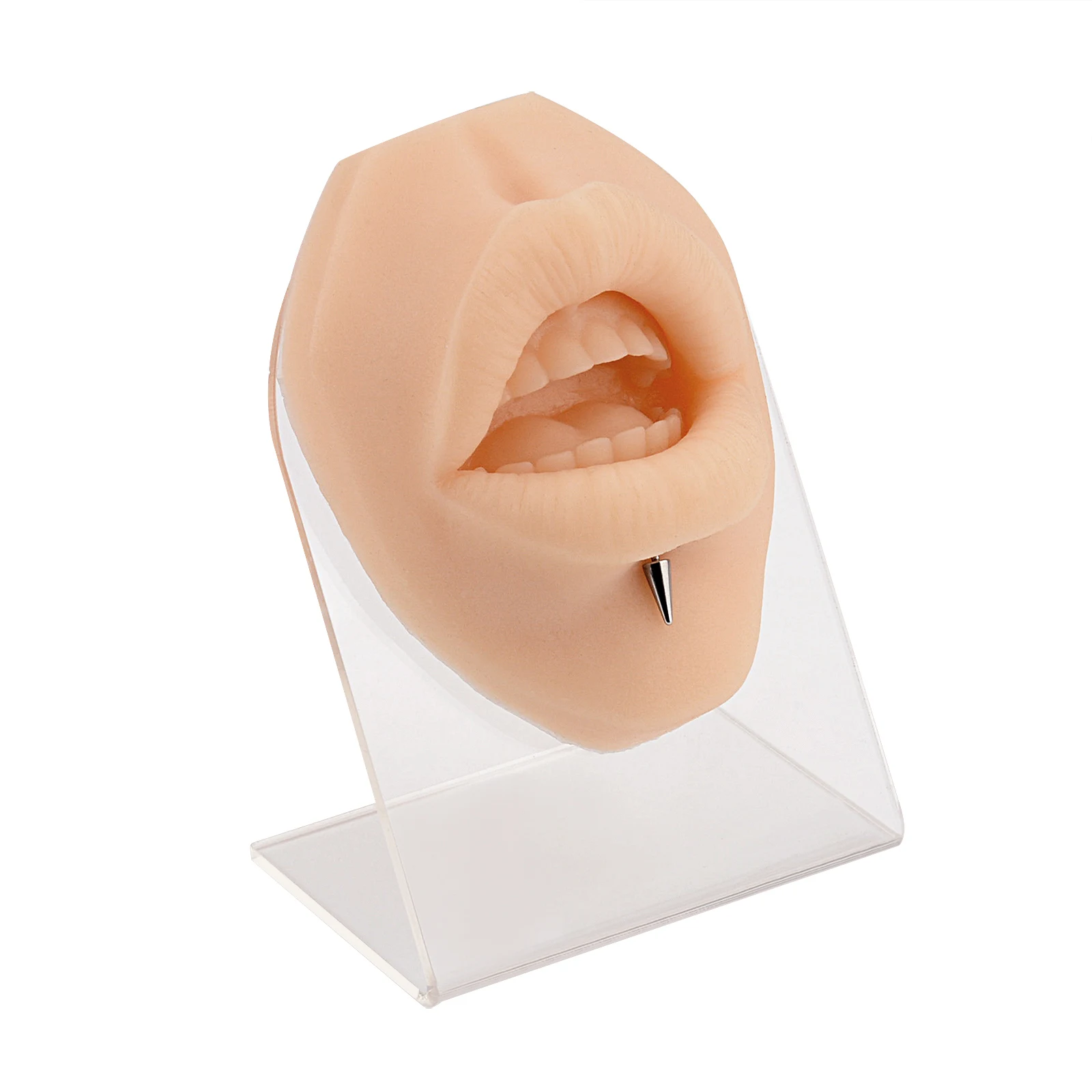 Simulate mouth model perforation, puncture, suture practice, mouth model, lip nail, nail display model