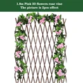33 pink