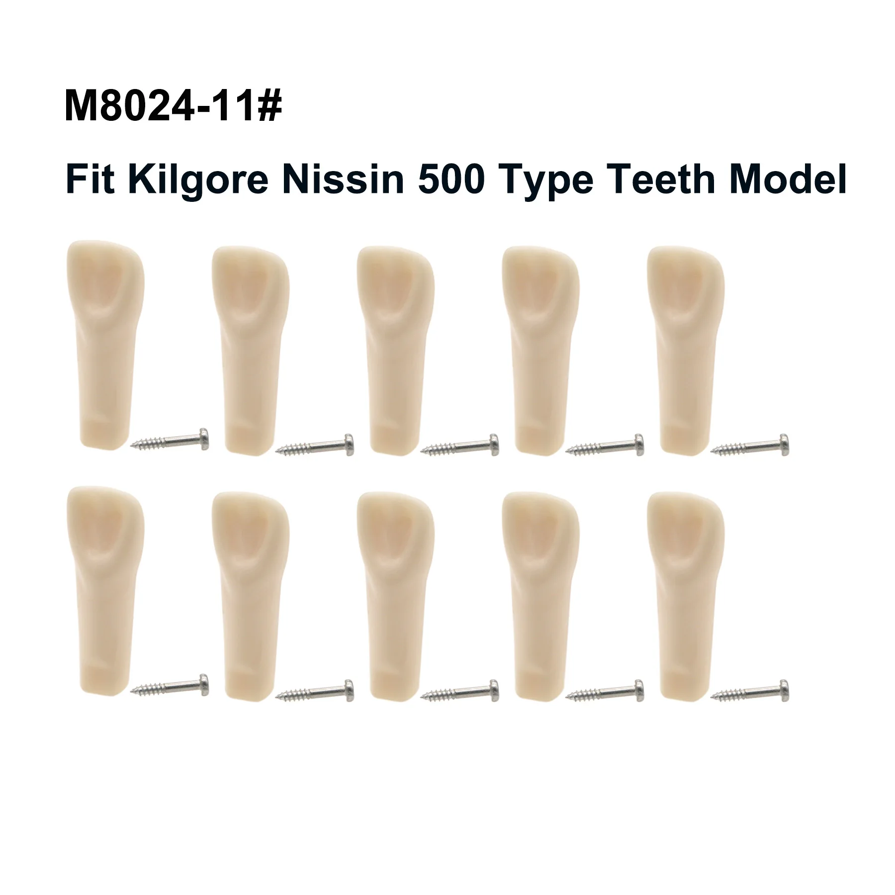 

10Pcs Dental Standard Practice Screw-in Replacement Teeth Model M8024 11# Fit Kilgore Nissin 500 Type