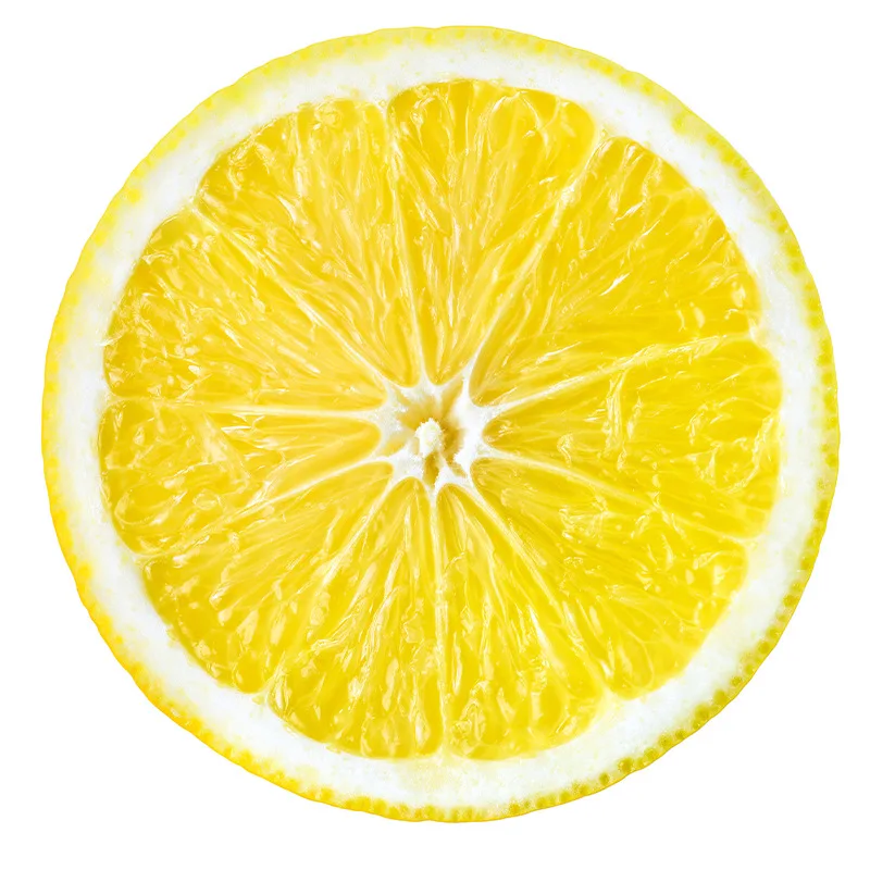 â������ ��մ� ���� ���, ħ��, ����, ���� ��, ����� Ins ��Ÿ�� �ùķ��̼�, ���� �̺�, �繫�� ���� ������