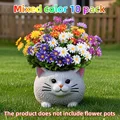 10pcs-mixed