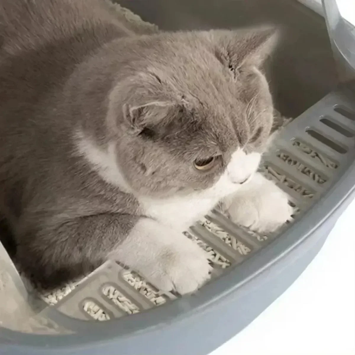 Cat Litter Box Open Cat Litter Box Thickening Kitty Sandbox Semi-enclosed High Side Splashproof Pet Bedpans with Litter Scoop Cat Supplies