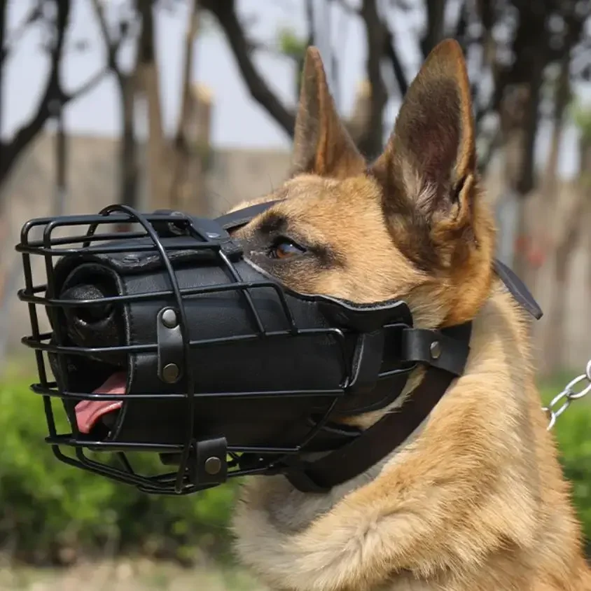 Anti-Bite Dog Mouth Cage Adjustable Metal Leather Mask German Shepherd Doberman Rottweiler Dog Training Muzzle Accessories