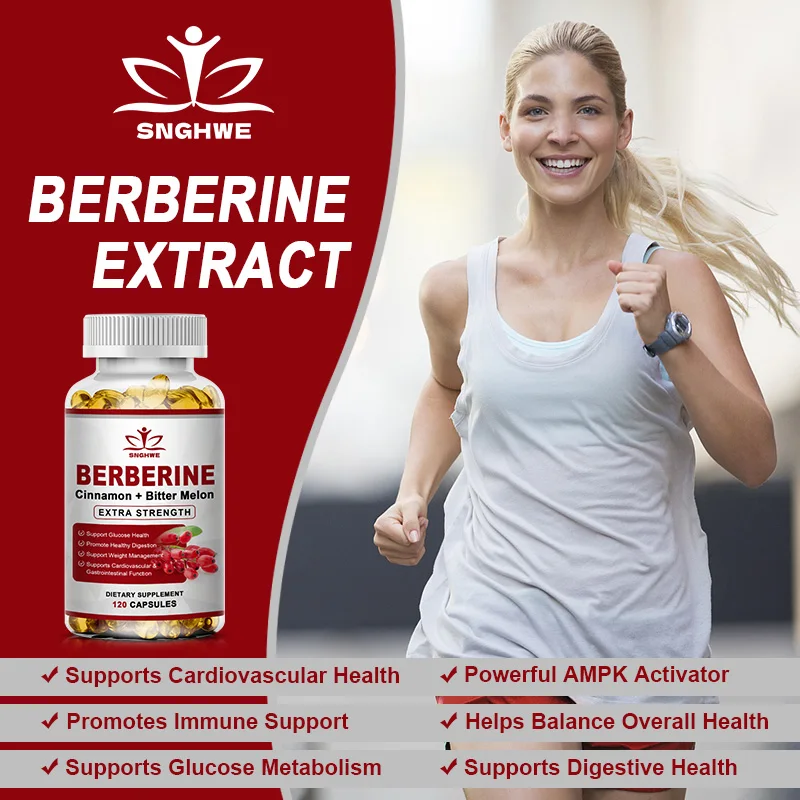 Berberine Ceylon Cinnamon Bitter Gourd Supplement Promotes Liver Function Intestinal Health
