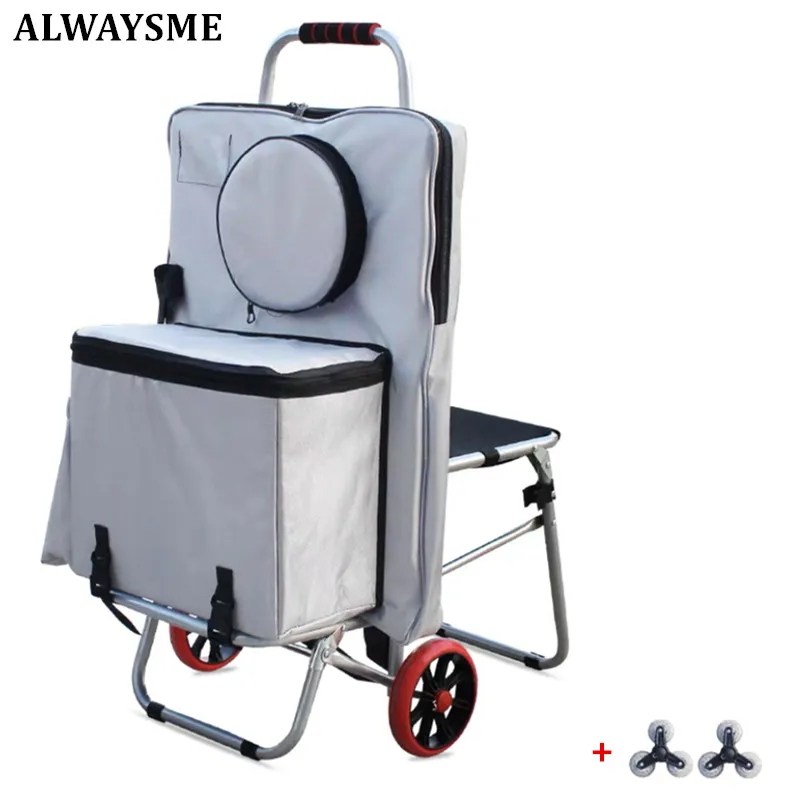 ALWAYSME Portable and Foldable Photo Painting Sketch Cart With Bag For Students Art Lover