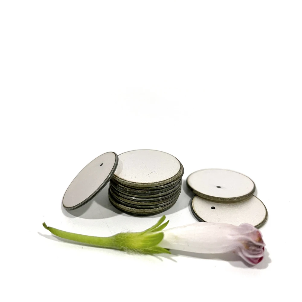 

10*1mm Reliable Different Size Pzt Element Ceramic Piezo Disc/Ring/Tube/Plate