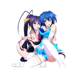Fuwo Trading – autocollants en vinyle PVC, accessoires extérieurs de voiture Sexy Anti UV DxD Himejima Akeno Rias, décalcomanies de style magnifiques 