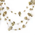 Champagne Heart