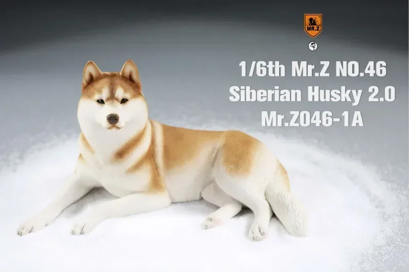 Mr.Z & Xmmos 1:6 スケールシベリアンハスキー 2.0 犬ペット