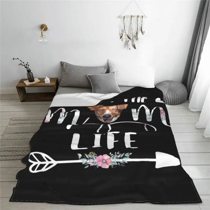 �� ���� �ƺ� �� ���� �׸��� ���, Ȩ �м� ����ũ�� ȭ�̹� ���� ��� ���� ���