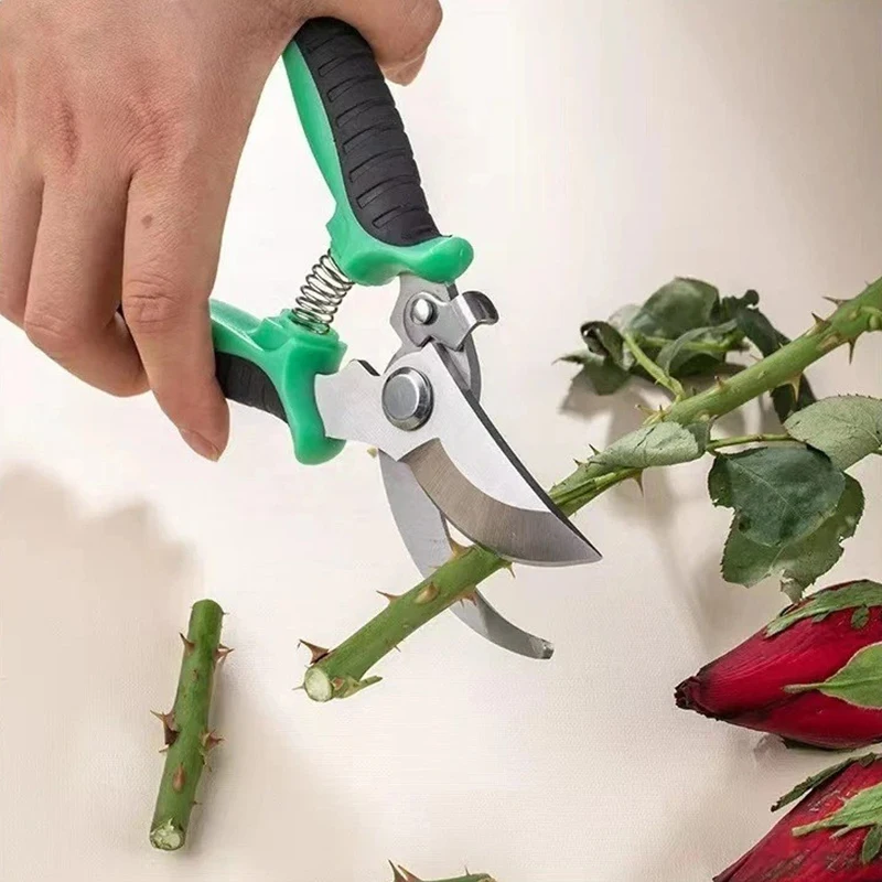 Pruning Shears 4