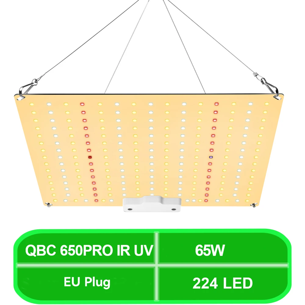 QBC 650PRO IR UV