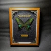 Real butterfly wood Picture Frame specimen Home decoration Birthday gift 1