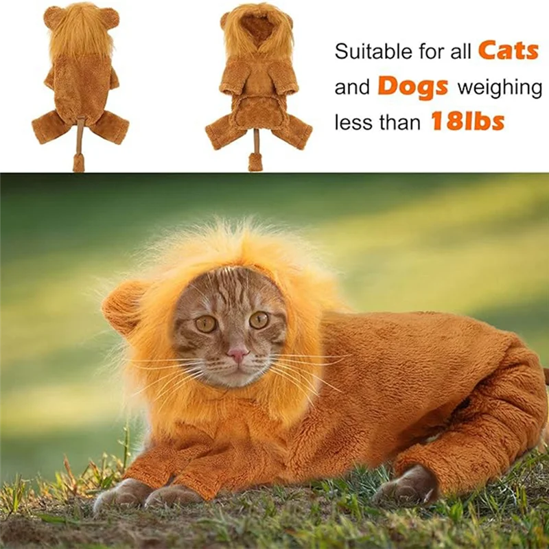 Dog Lion Costume 4