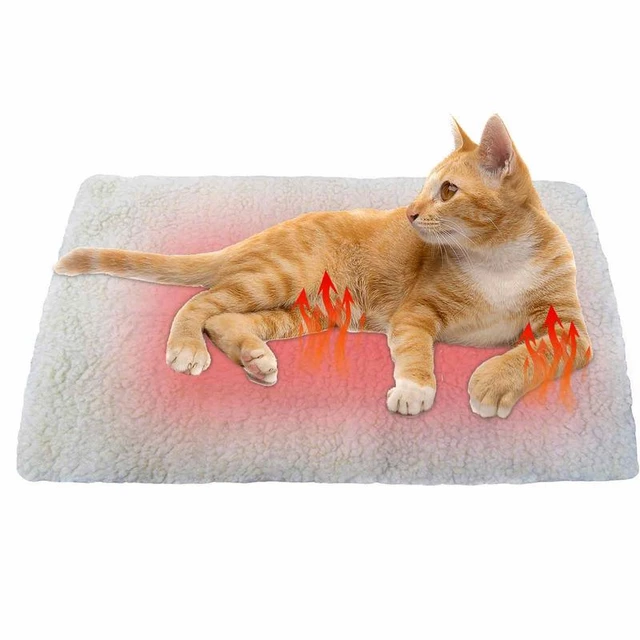Winter Super Soft Dog Cat Self Heating Blanket Pad Indoor Pet Self Heating  Pads Washable Cat Thermal Bed Self Warming Bed 2 Size - AliExpress