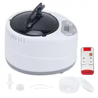 Sauna Steamer Pot Lightweight Fumigation Machine Large Capacity Portable 3 L 1