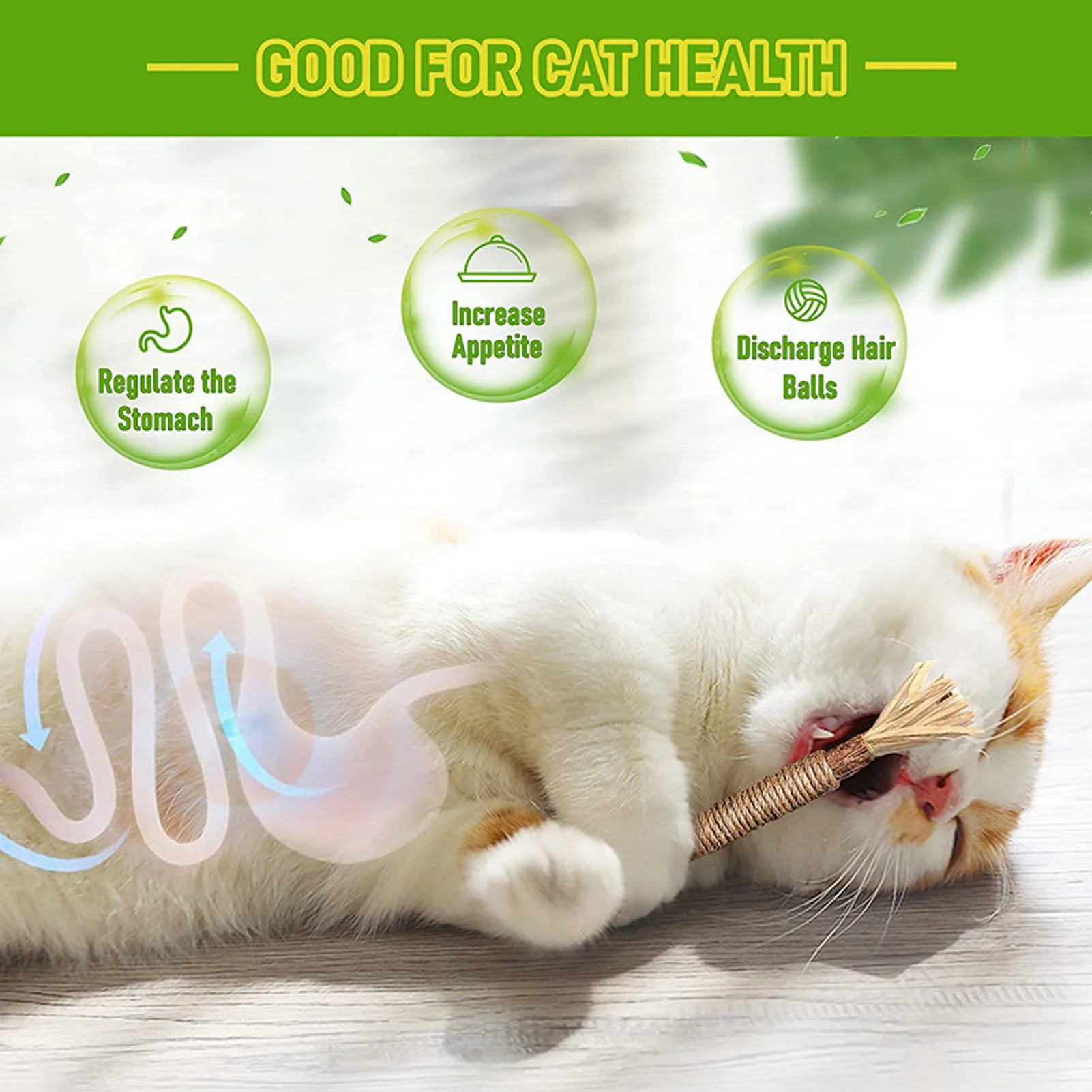 Natural Matatabi Cat snack Sticks Catnip Pet Cat Toys Actinidia Polygama molare dentifricio Stick pulizia dei denti