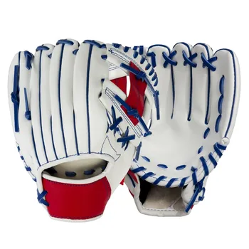 Professional Baseball Glove 1