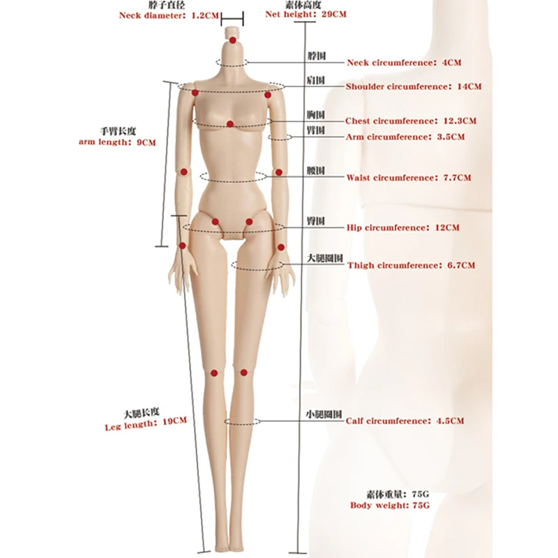30cm Doll's Body Supermodel Body Accessories with Multi Joint White / Tan Skin DIY Girl Toy 3