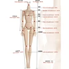 30cm Doll's Body Supermodel Body Accessories with Multi Joint White / Tan Skin DIY Girl Toy 3