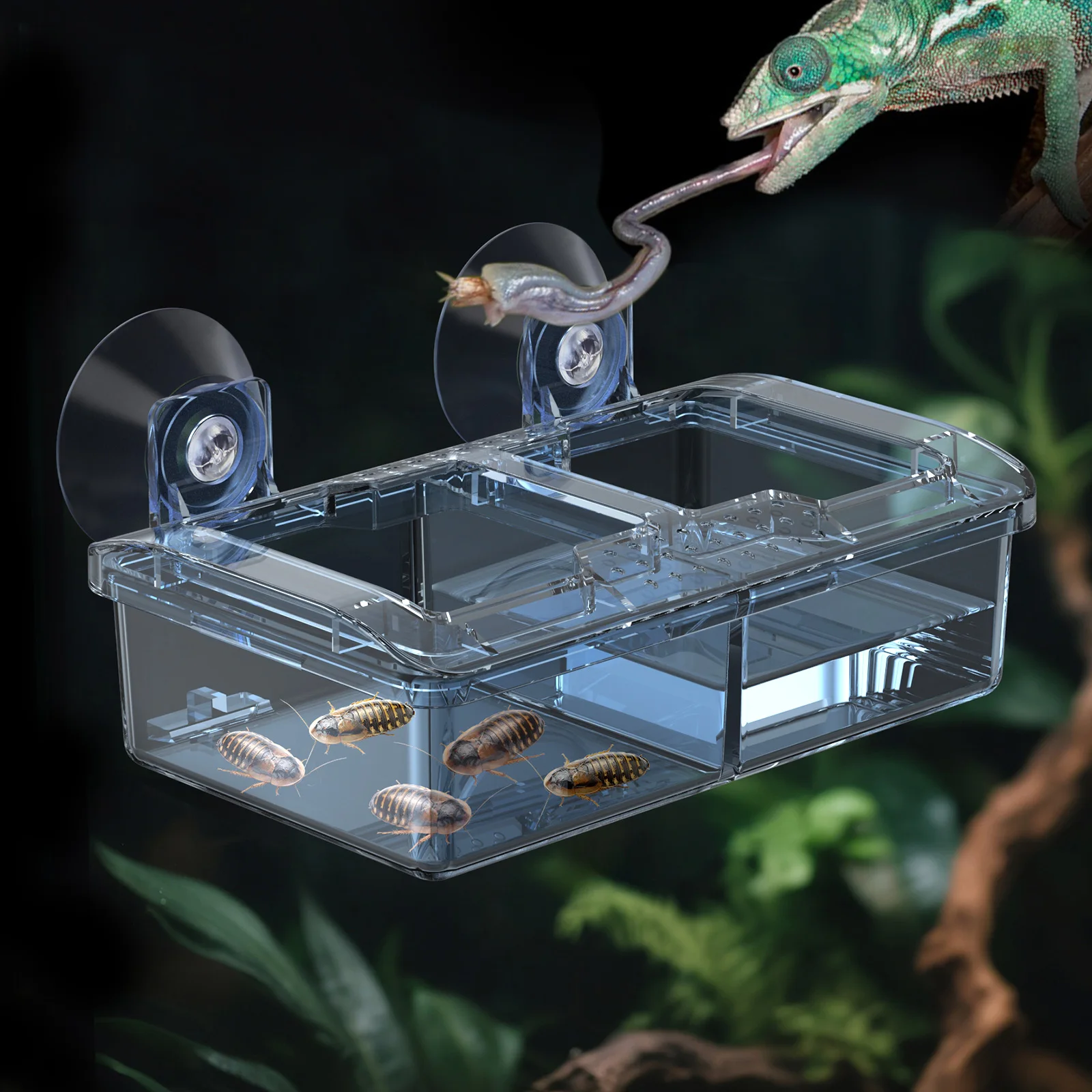 Reptile Water Food Bowl Worm Dish Ceramic Pet Bowls Anti-Escape Mini Reptile Mealworms Bowl for Lizard Bearded Dragon Reptile Water Food Bowl Worm Dish Ceramic Pet Bowls Anti-Escape Mini Reptile Mealworms Bowl for Lizard Bearded Dragon