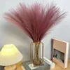10PCS Artificial Pompous Grass Pompass Branches Fake Fluffy Stems Plants Vase Filler for Home Boho Decor Flower Arrangement 5