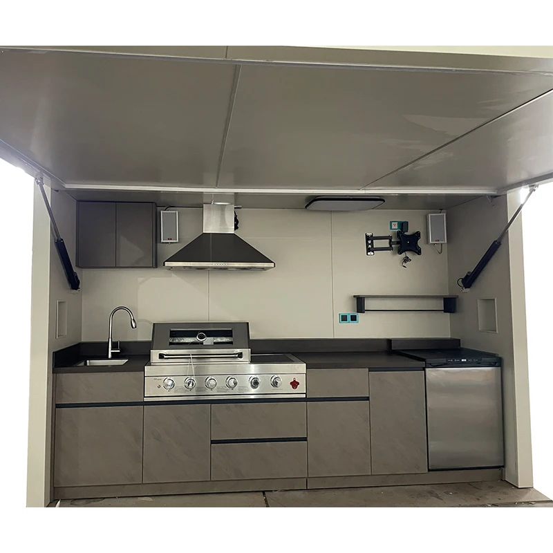 Cuisine extérieure moderne avec gril à gaz, pergola et hangar 3