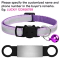 Purple-02