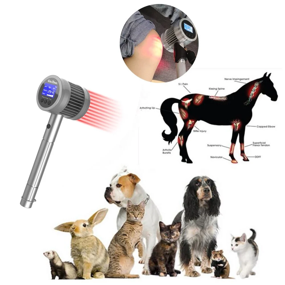 HLKGO 8W 808nm Cold Laser Therapeutic Apparatus Deep Penetration Physiotherapy Pain Relief Home Light Therapy for Pets Cat Dog