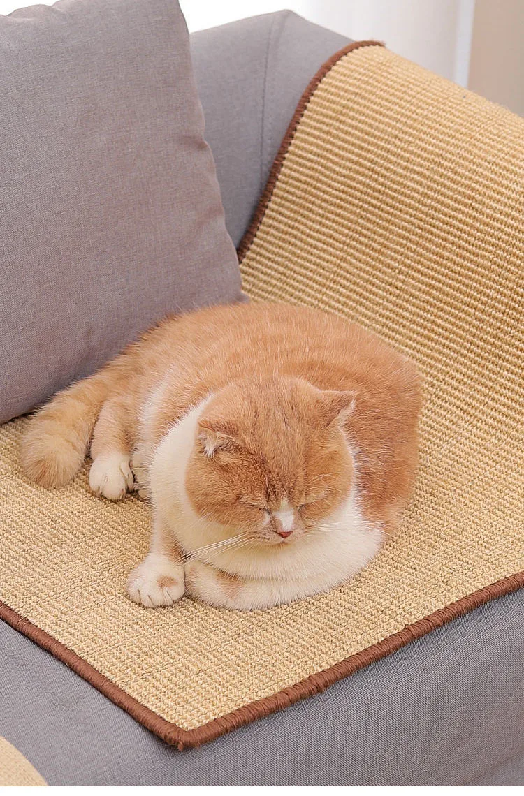 Couch Scratch Protect Mat Cat Scraper
