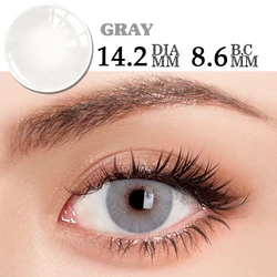 Bio - essence Colored Contact Lenses - Gray and Blue Natural Fashion Cosmetic Lenses (PL4)