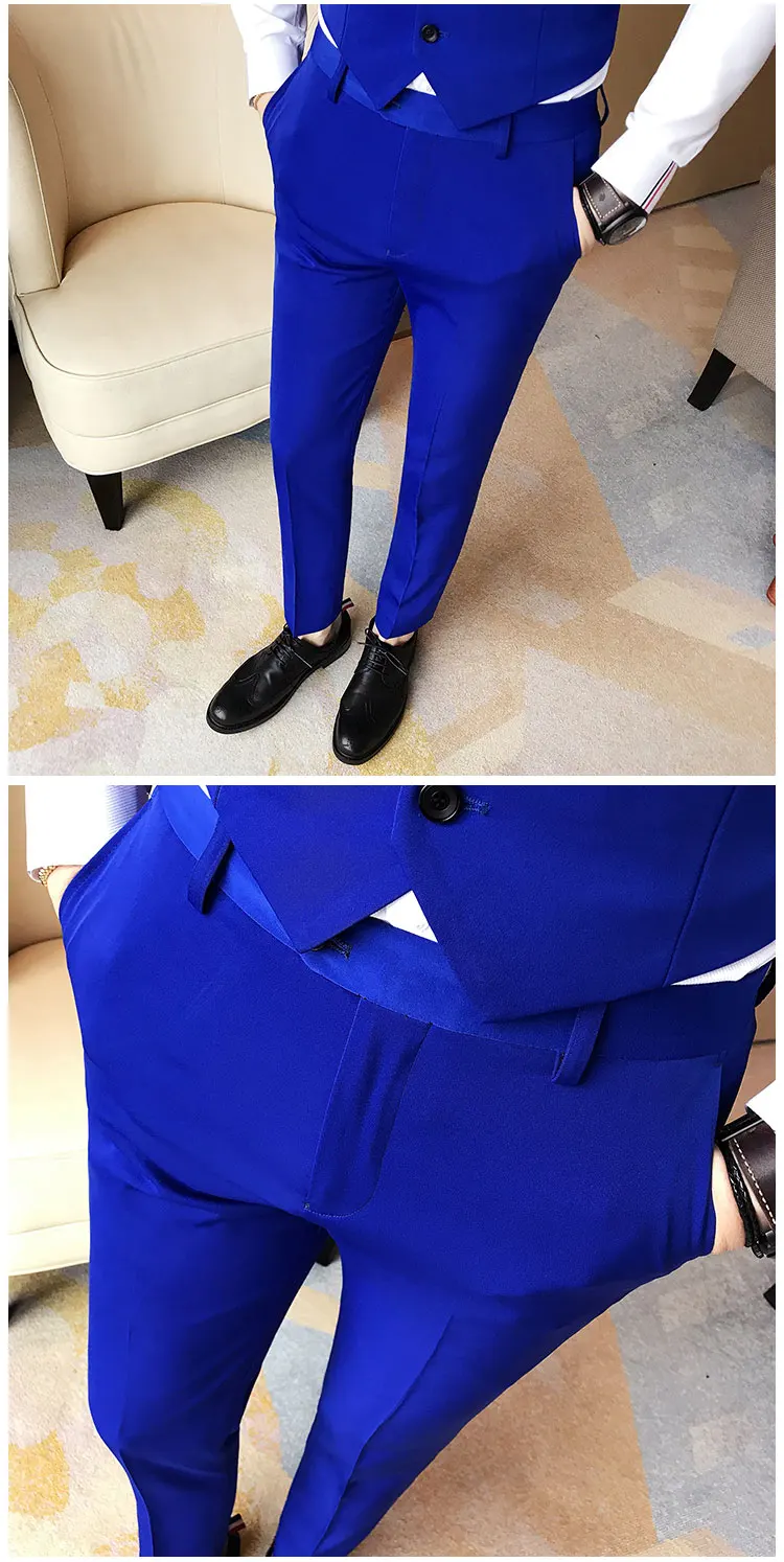 Buy Regular Fit Men Trousers Royal Blue Poly Cotton Blend for Best Price,  Reviews, Free Shipping