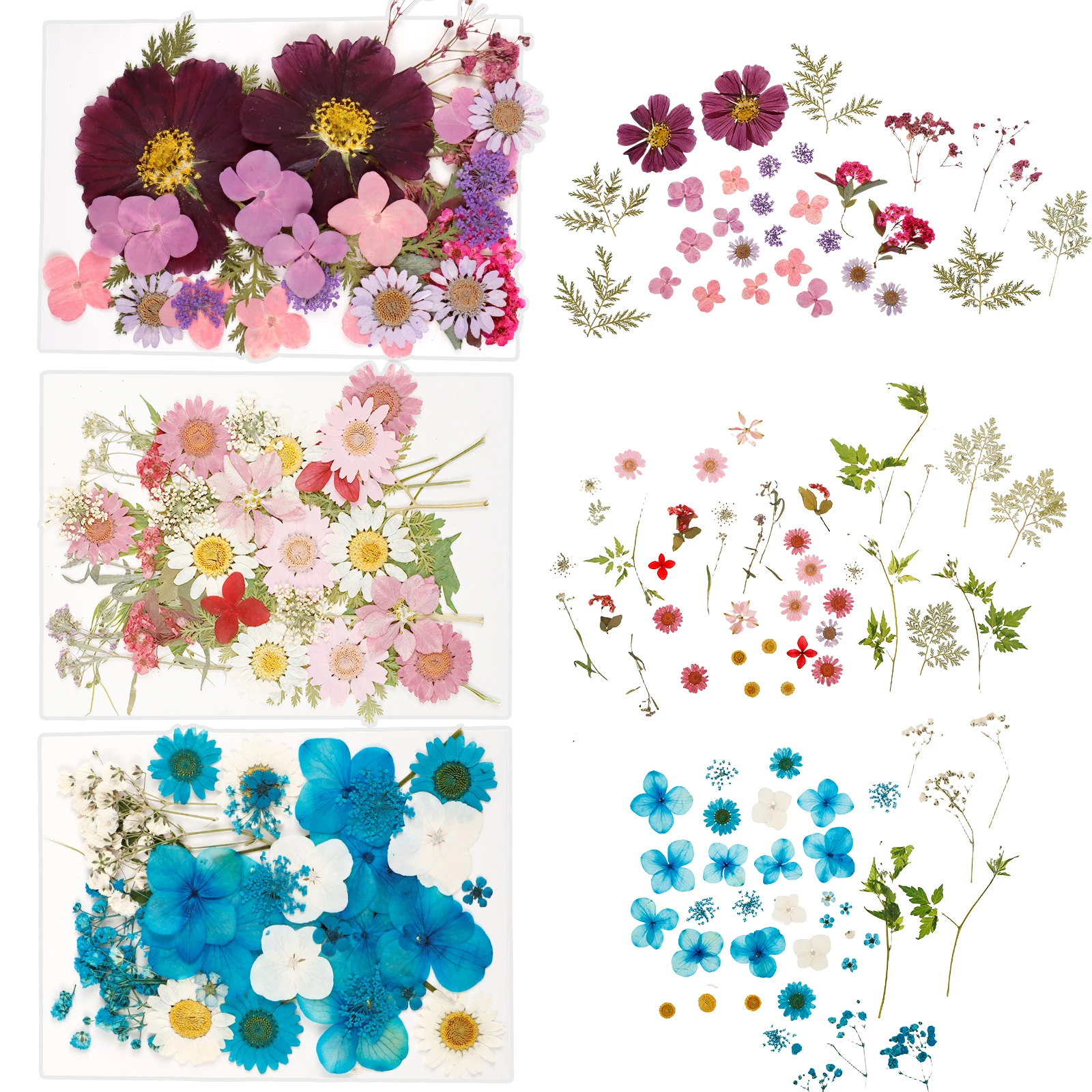 104Pcs Pressed Dried Flowers Set Real Natural Pressing Floral Leaves DIY Multipurpose Real Pressed Flowers Dry Leaves Kit