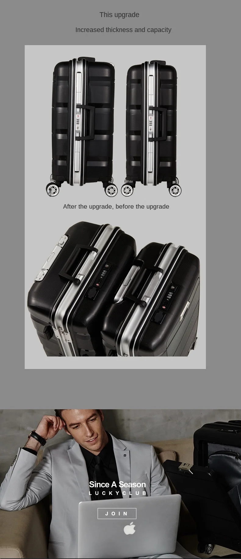Luggage Image 4