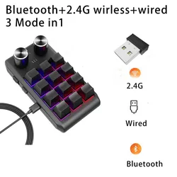 Enhanced RGB Mechanical Macro Pad - 12 Keys & Dual Knobs for Gaming & Custom Programming (Black Wired BT 2.4G)