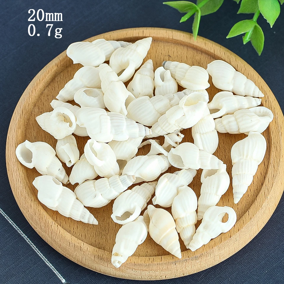 Conchiglie naturali, piccole conchiglie bianche, sfuse, 280 g, piccole conchiglie marine per decorazioni per la casa, per la spiaggia, per feste, per la produzione di candele, decorazioni per acquari