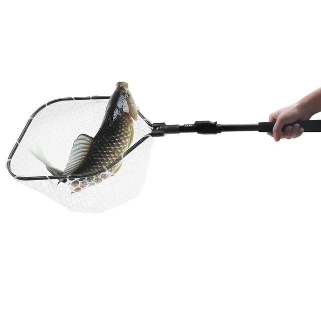 Épuisette De Pêche Télescopique NAKIHOUSE | Filet Flottant Et Pliable - Pour Eau Douce Et Salée - Cadre 44x30 Cm