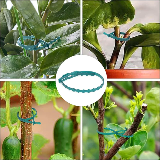 Kábelötés Önzáró Műanyag Huzalkábel Cipzárak Zöld Rögzítő Gyűrű Többcélú Hal Csontkert Kötő Kábel Nyakkendő - Image 3